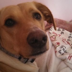 Meet your Posher, Janice